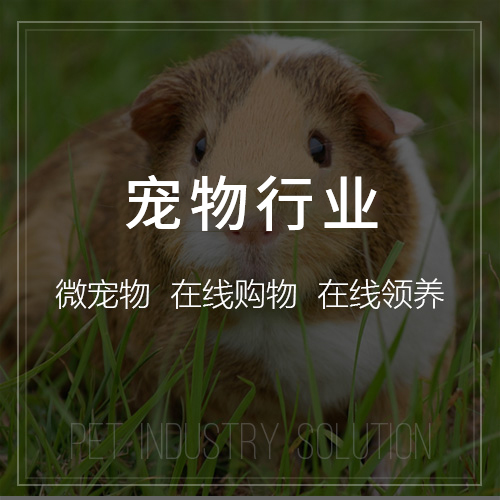 APP外包项目交接清单